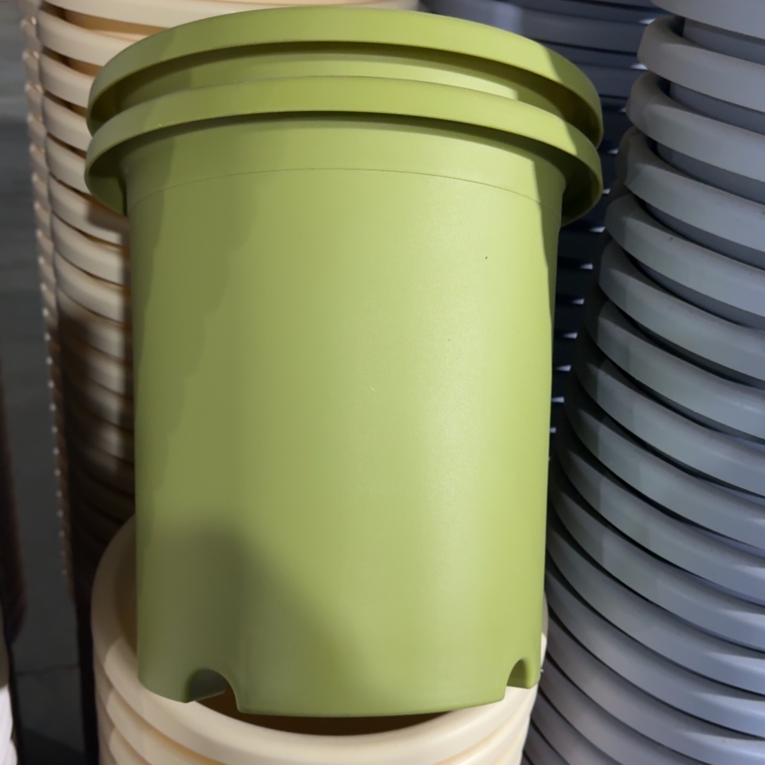 四季7#口径33无拖果绿6个