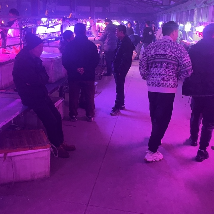 吴***霖孔雀鱼15条鸿运当头