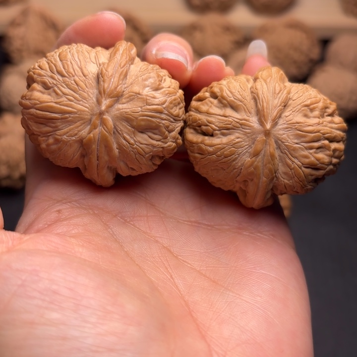 成***历把件文玩核桃42元宝