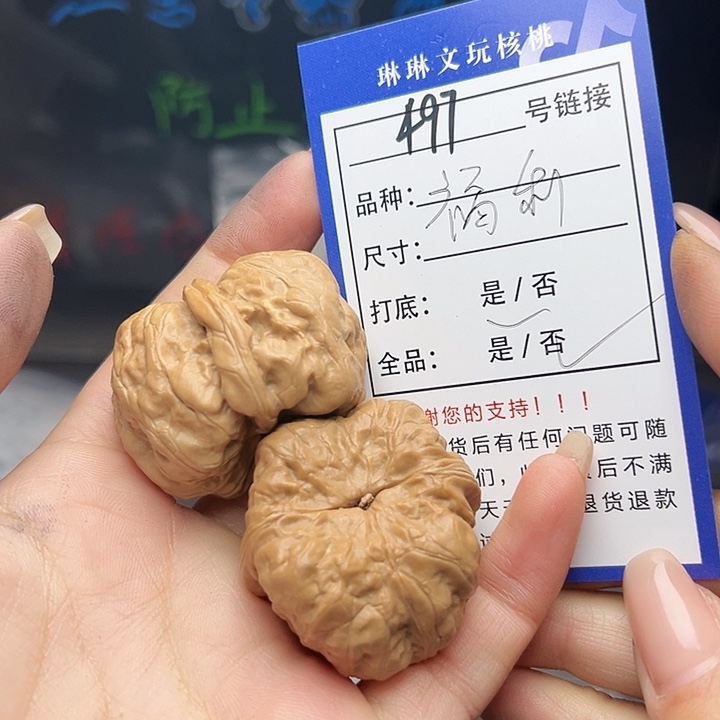 文玩核桃吊坠核桃树497