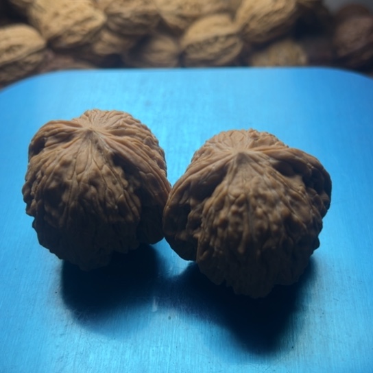 劝***人银S9251234567890