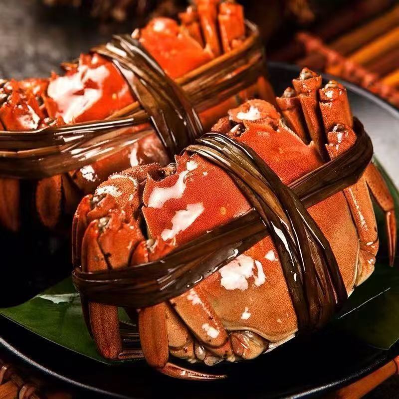 【大蟹王+大蟹后】 螃·蟹 公6.0-5·2两/只母蟹5.0-4·2两/只 精品蟹8只 顺丰/京东冷链 赠吃蟹工具 青蟹