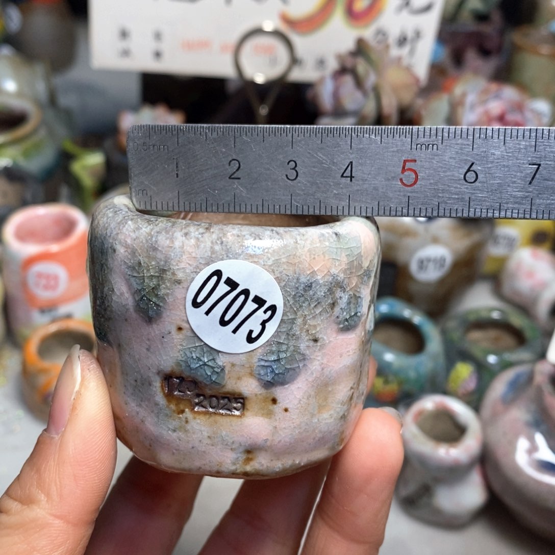 花盆拍3送一个小礼物