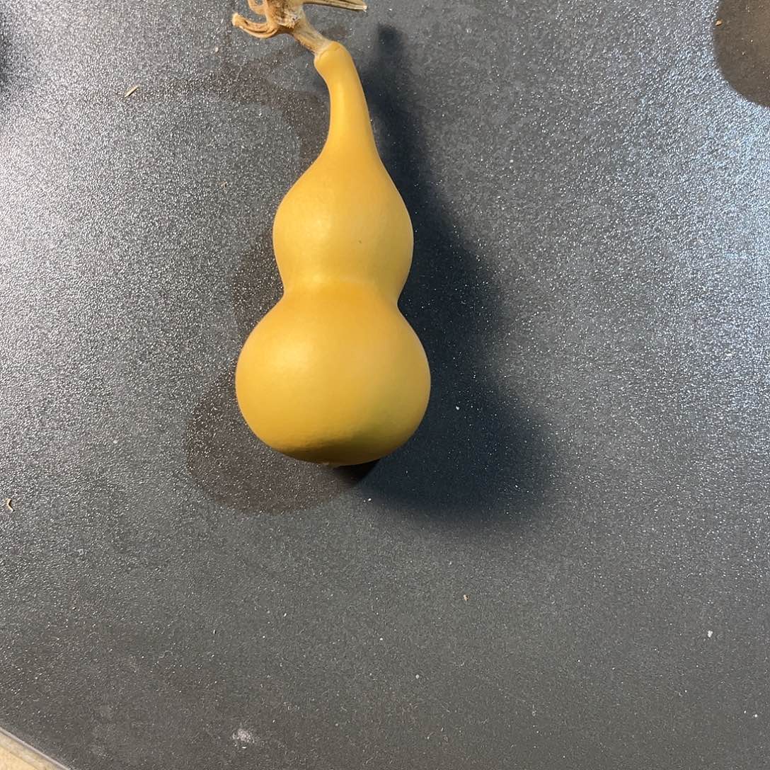 用***480葫芦888888888888