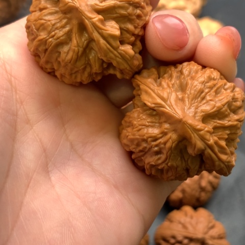 文玩核桃吊坠卧龙bu jin