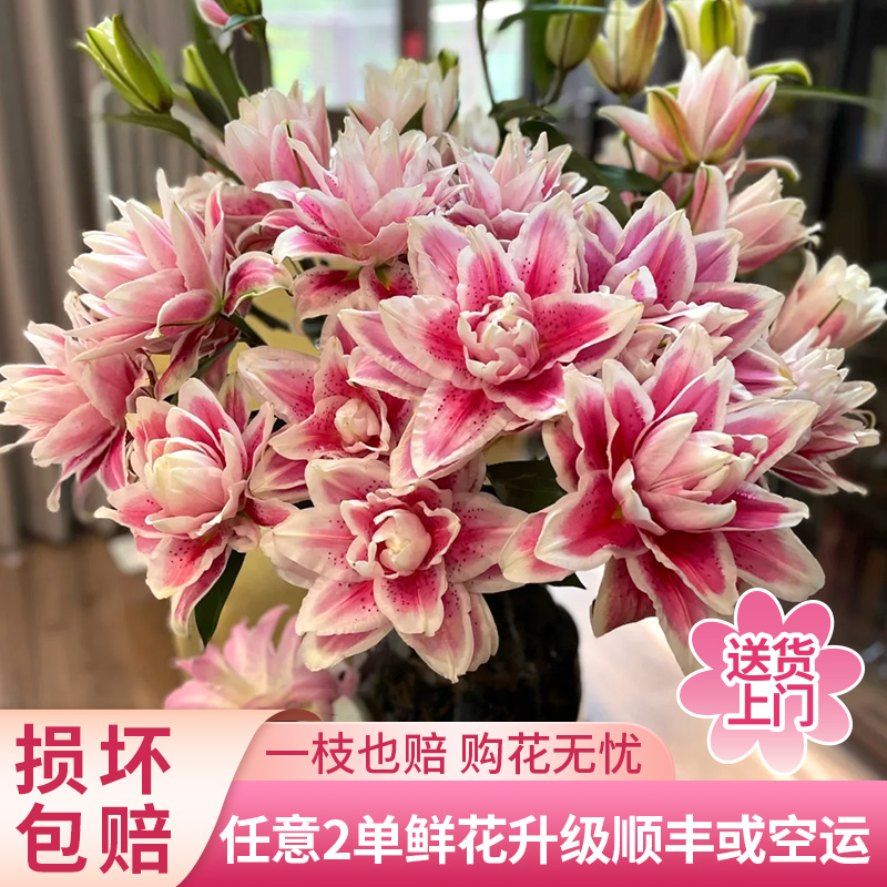【黄梦宇】火星之恋重瓣百合全场鲜花任意满两单及以上包邮送货上门