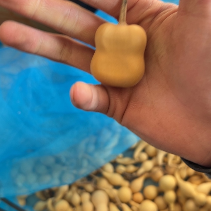 香榧木葫芦摆件文玩制品