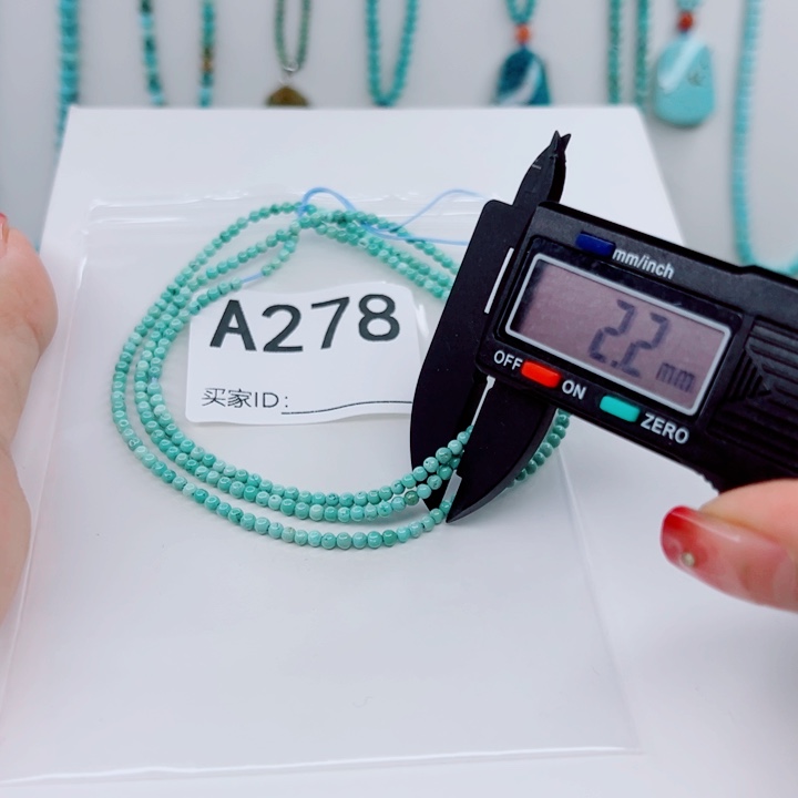 绿松石未镶嵌颈饰