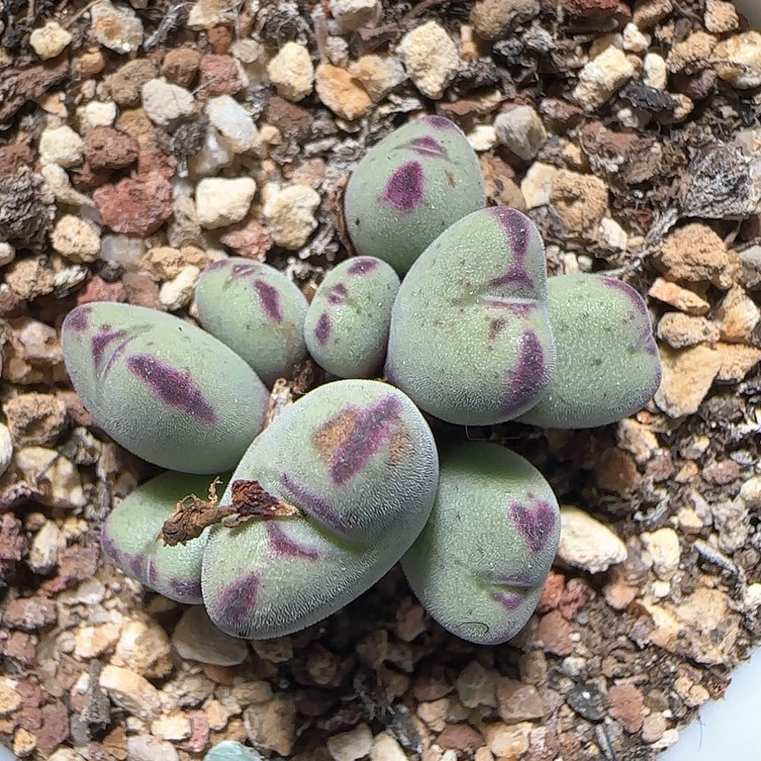 哈哈哈哈哈哈哈44