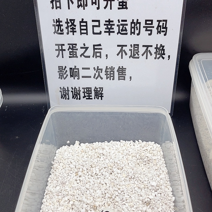 母绿毛龟111111111