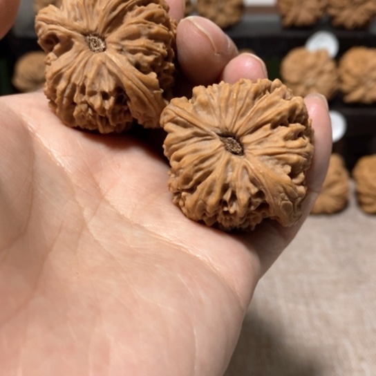 文玩核桃把件今天