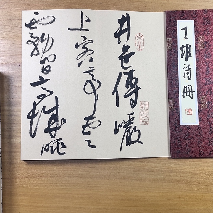 书法中书协会员作品