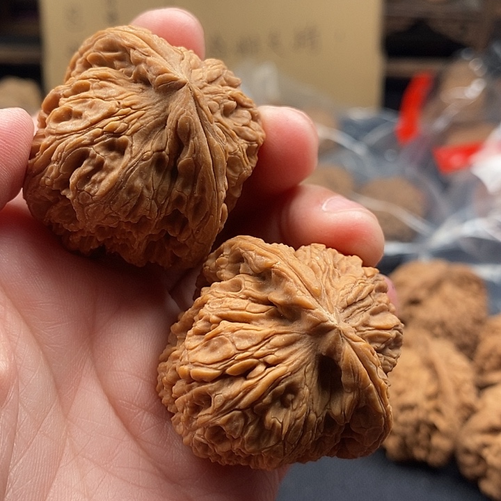 s***l木质类51.51.51.51