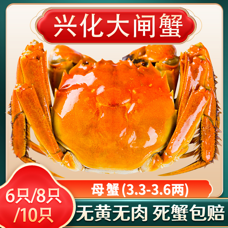 【活蟹】江苏兴化精品大闸蟹全母3.3-3.6两8/10只螃蟹直播顺丰JD