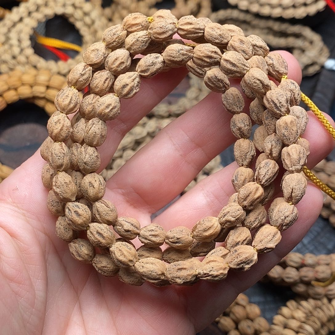 ****毛手串柏香籽/百香籽