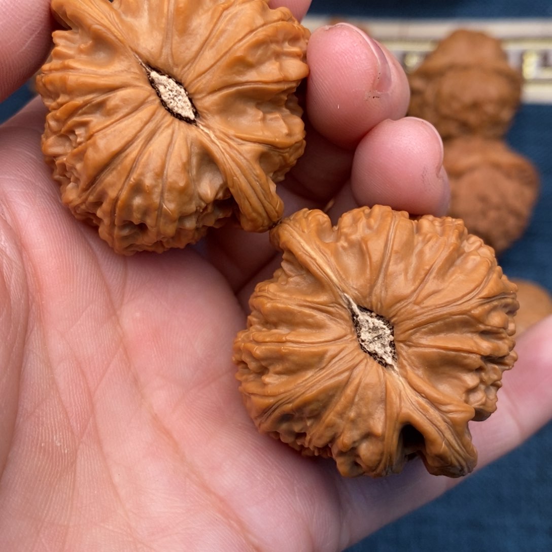 文玩核桃把件好**噗43老树红皮球白