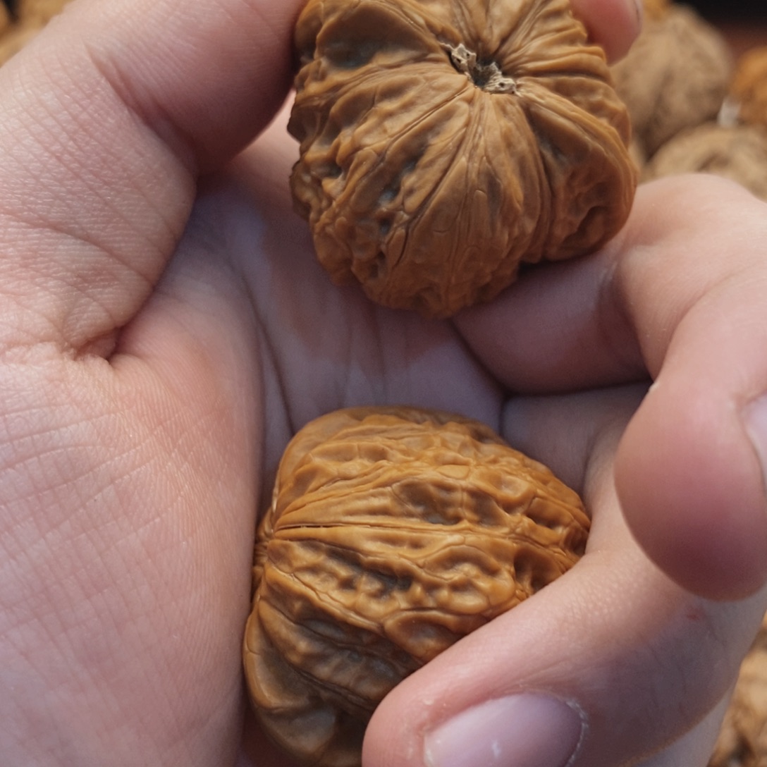 文玩核桃吊坠H*铁锤