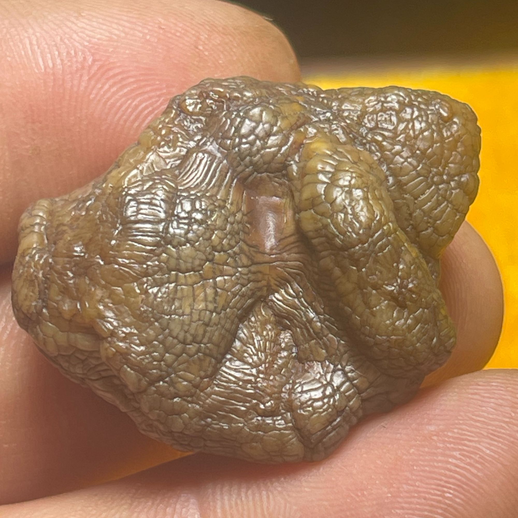 阿拉善银根戈壁奇石