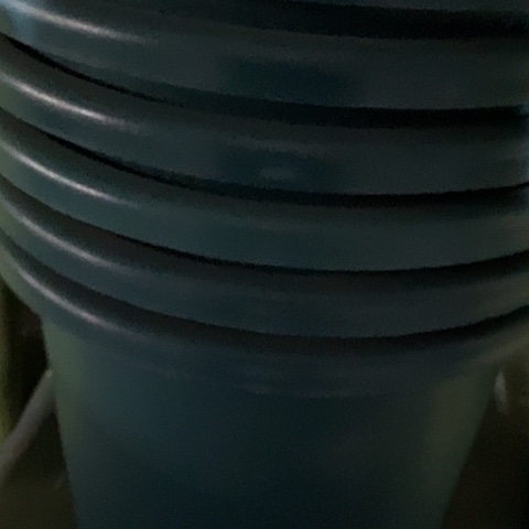 四季12号军绿无托4个➕7号军绿1个