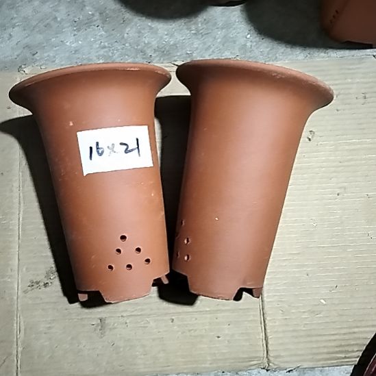 紫砂小红兰花两个