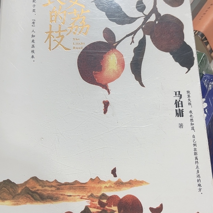 长安的荔枝全新推荐