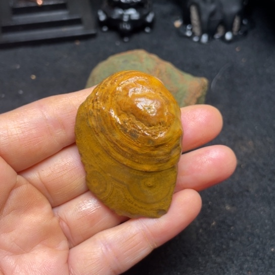 石材纯天然奇石原石133