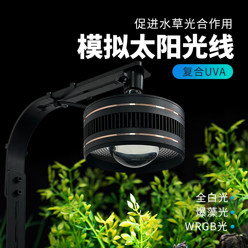 专业级溪流灯全光谱筒灯COB灯珠透镜爆藻观赏提色造景