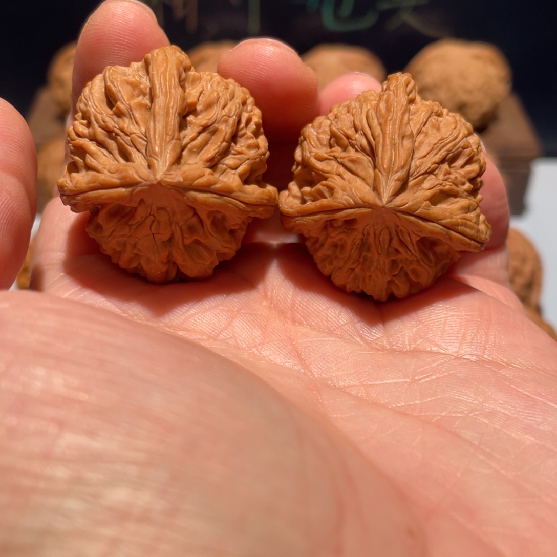 文玩核桃把件行**水玉玺三棱34全品