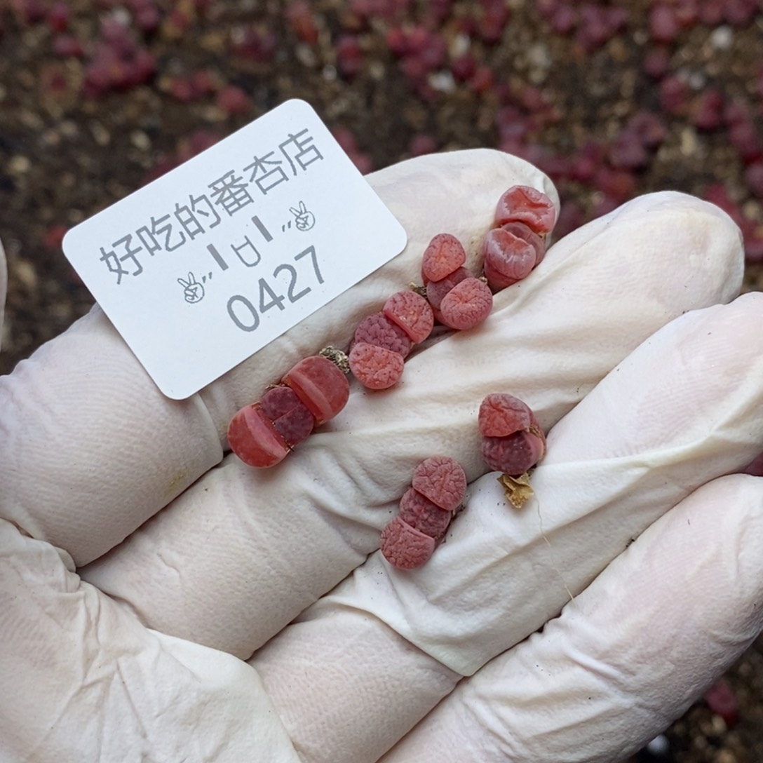 0427。抽奖。没单运费3