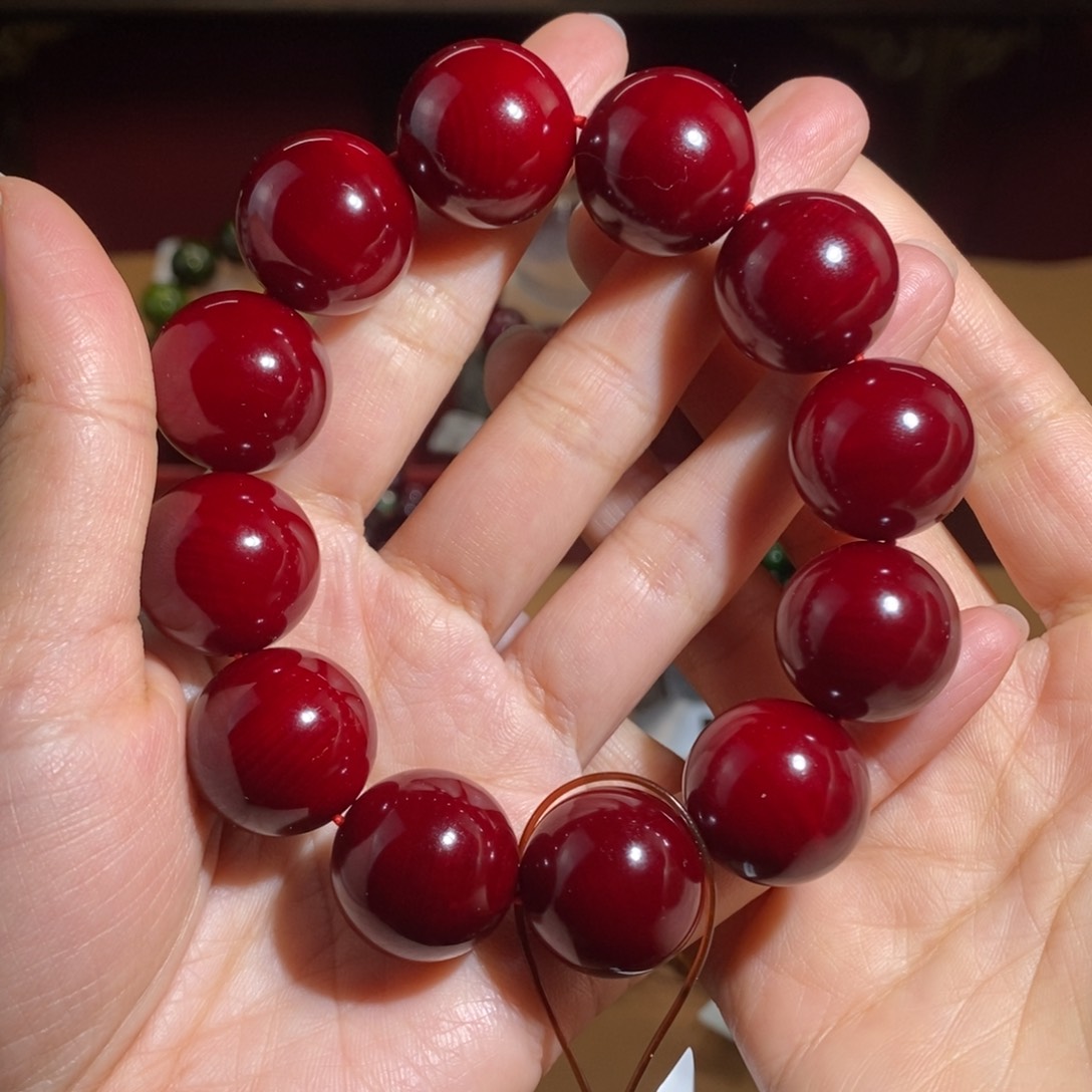 贝壳杉帝王血龙木2.0千年