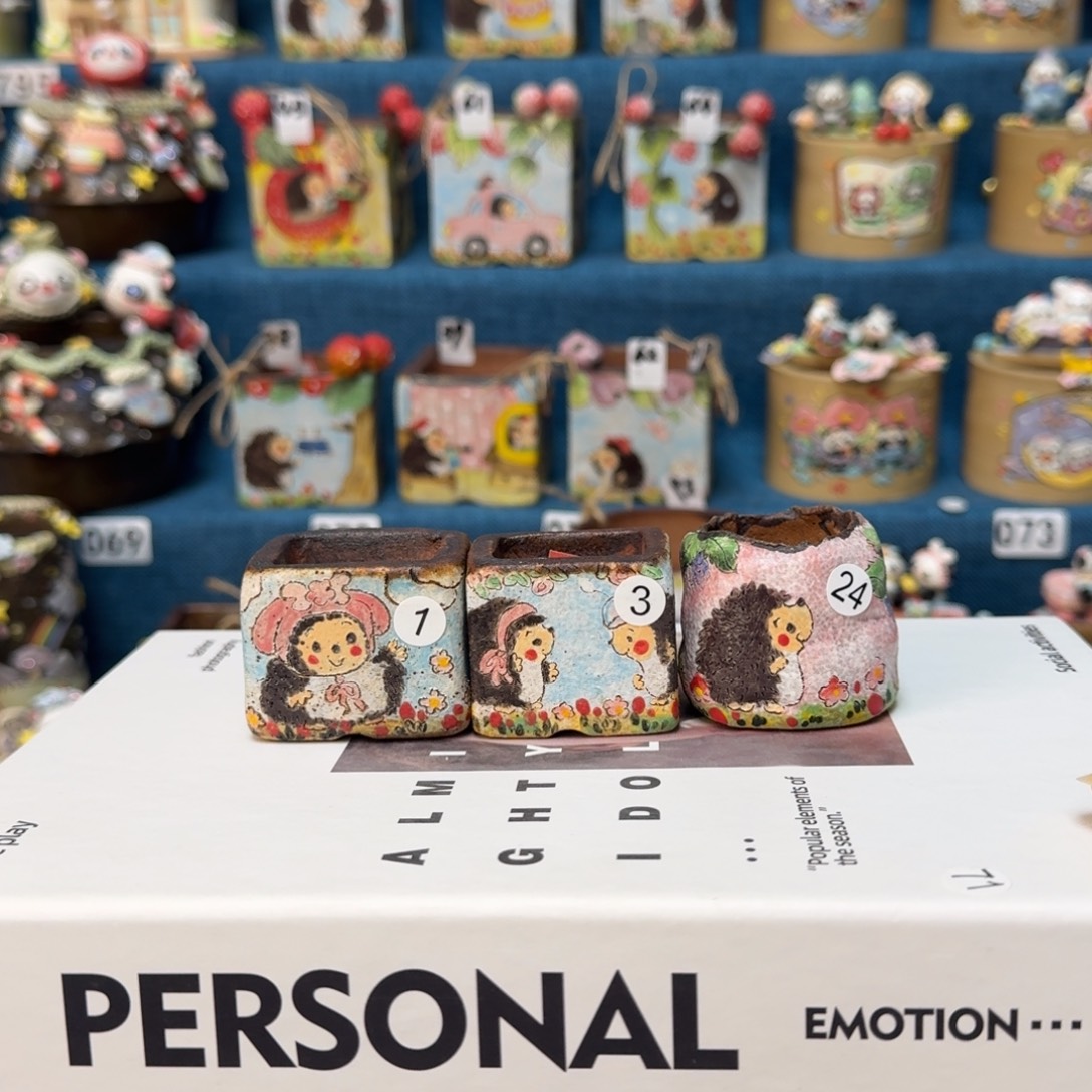 w***⁹QM多肉花盆。    小雪