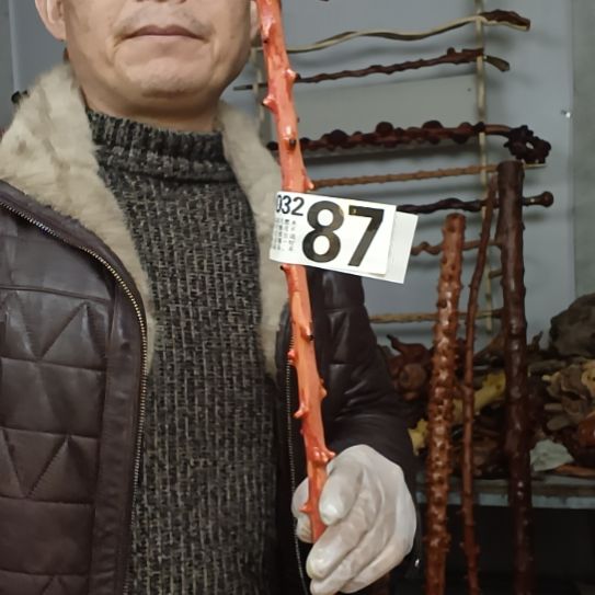 兰***藏香榧木高山 檬子木文玩料