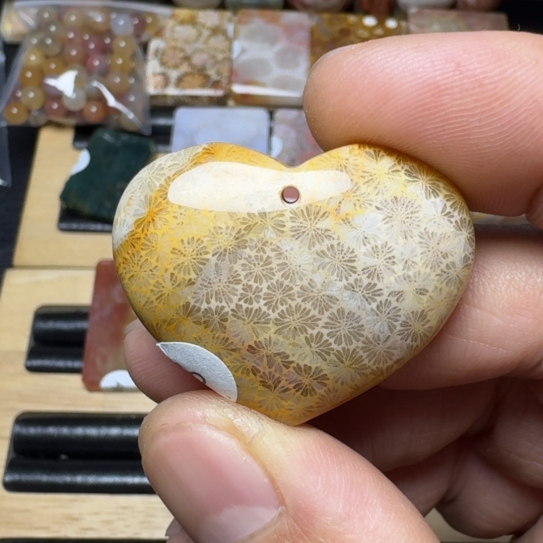 硅化珊瑚（珊瑚玉）纯天然色有机玉石未镶嵌