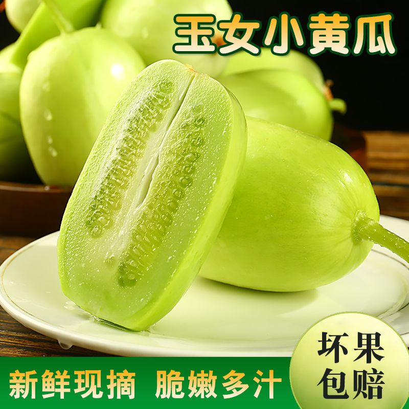 【丰旺优选】山东玉女水果黄瓜新鲜拇指黄瓜金童玉女黄瓜母子黄瓜
