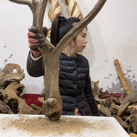 庞***森柏木我们都是好孩子