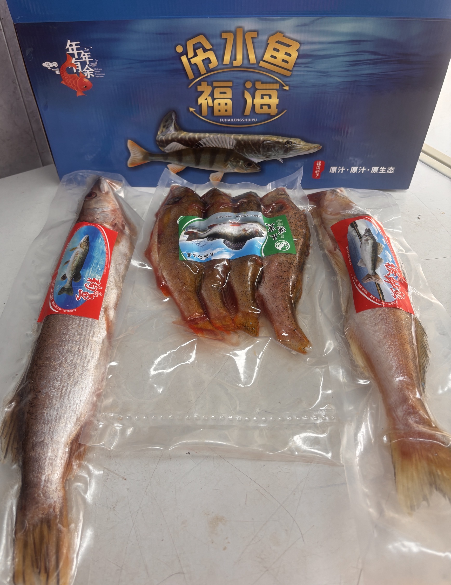 《你我他一家人》3种鱼3公斤(狗鱼,九道黑,五道黑)