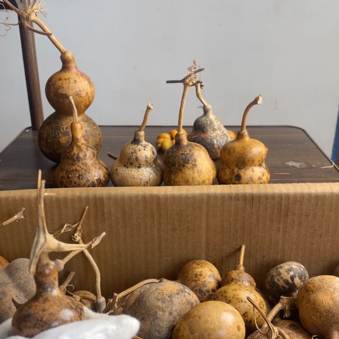 香榧木清*?葫芦葫芦