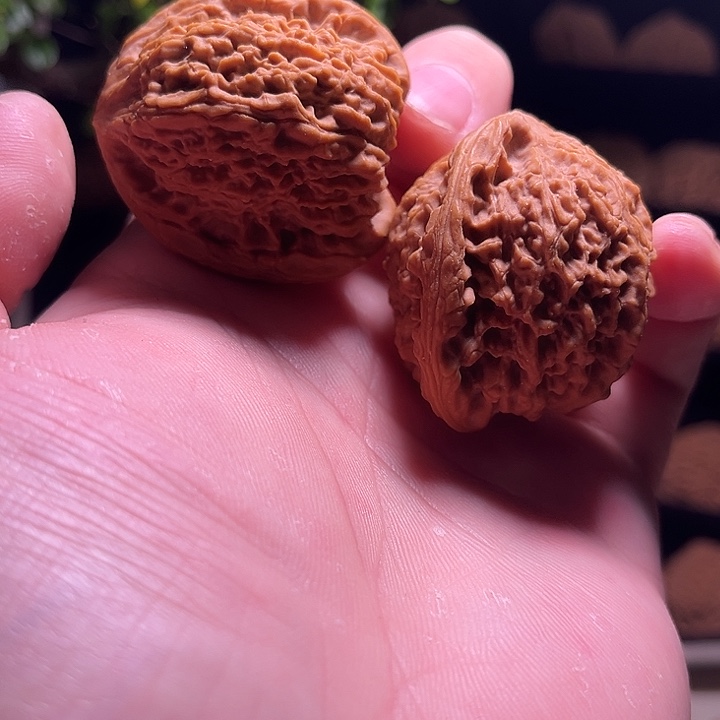 5***.文玩核桃吊坠南疆