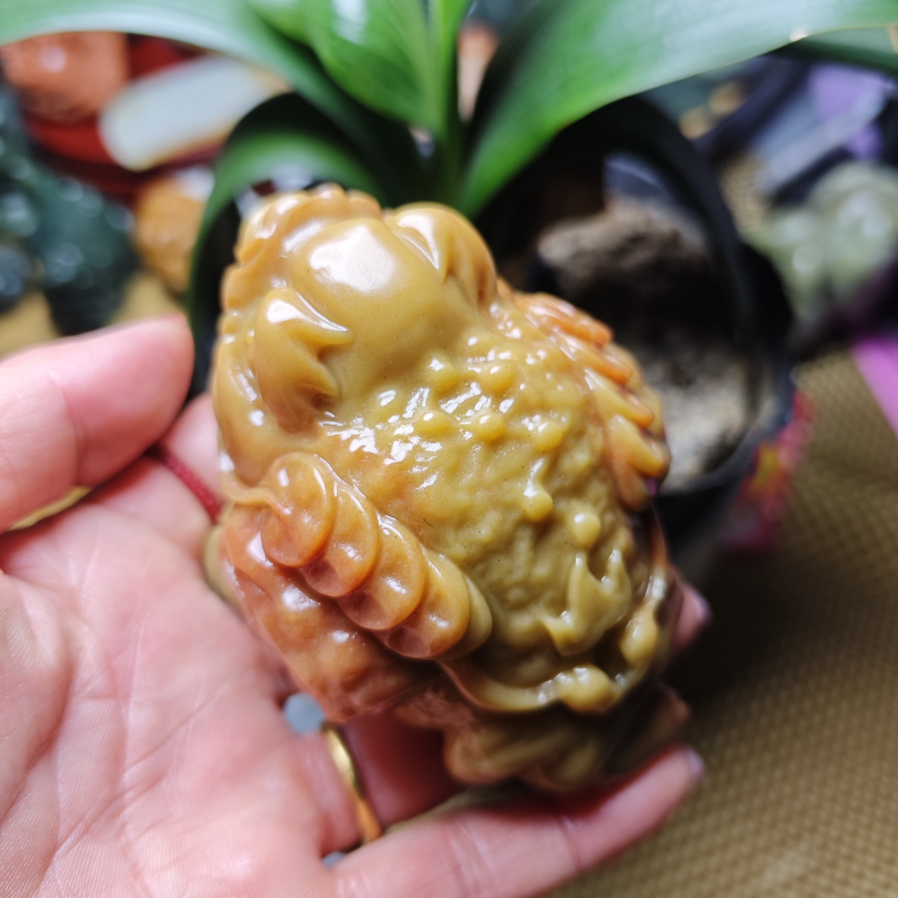 新疆北江三彩玉金蟾把件