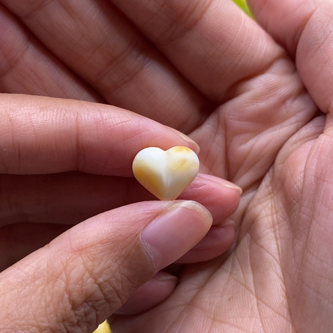 琥珀未镶嵌裸石蜜蜡