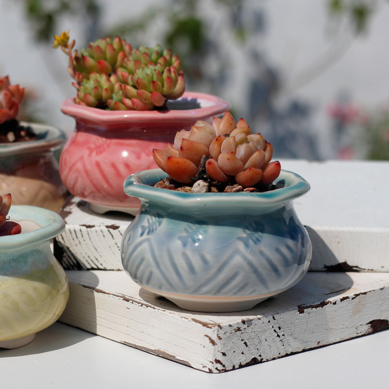 多肉植物花盆陶瓷创意桌面装饰透气简约收腰花边冰裂清新彩红小号