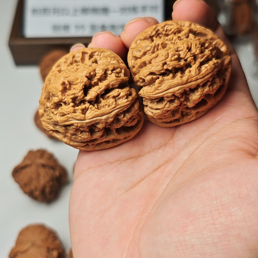 46原装大粗筋嘎嘎板正嘎嘎板正