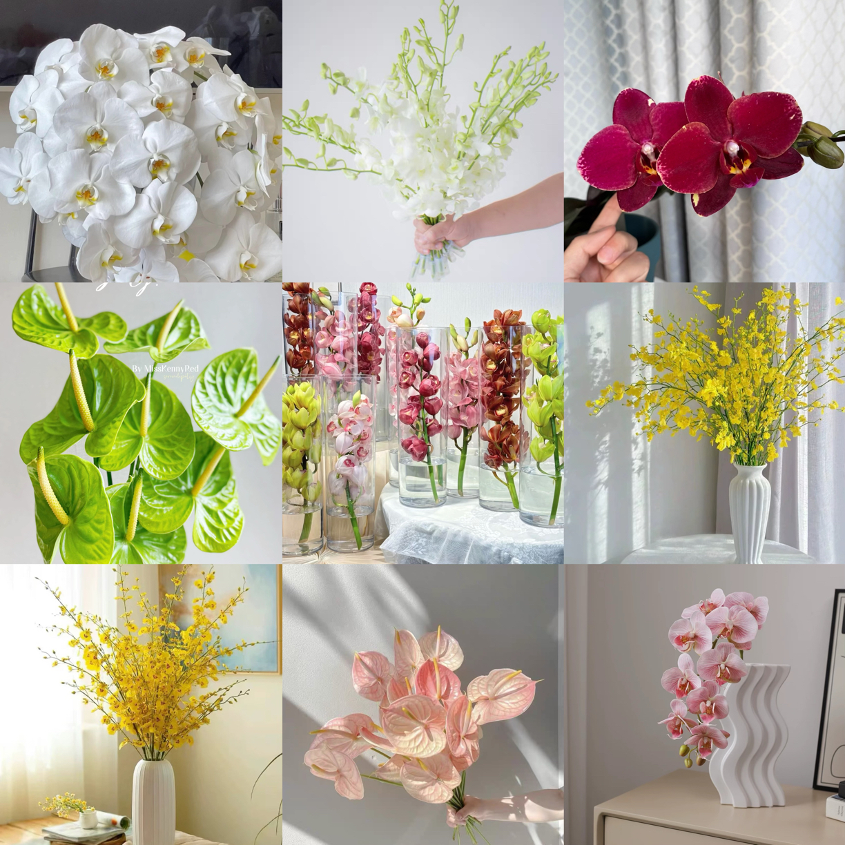 Fs知花意｜兰花切掌｜可与花束拼单｜一单中通｜两单升级顺丰包邮