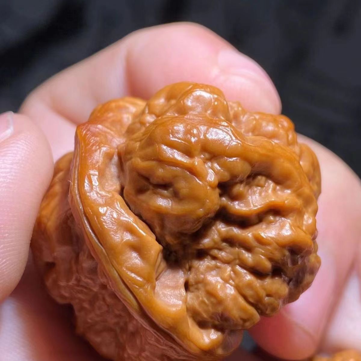蛤蟆头白狮子四座楼大粗筋虎头