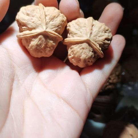 猴头核桃吊坠32三棱