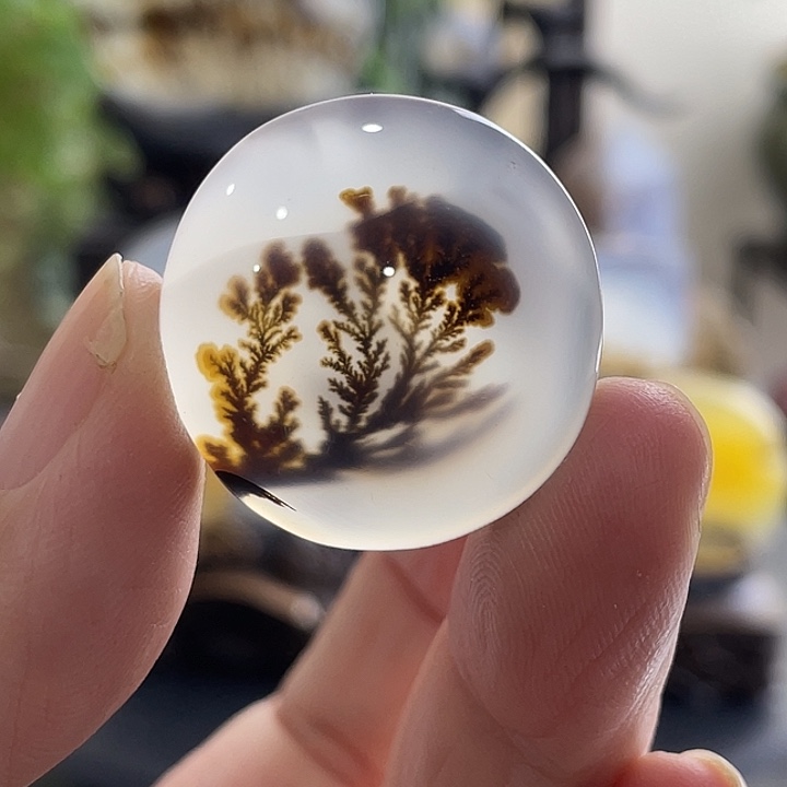 玛瑙/玉髓未镶嵌珠宝半成品