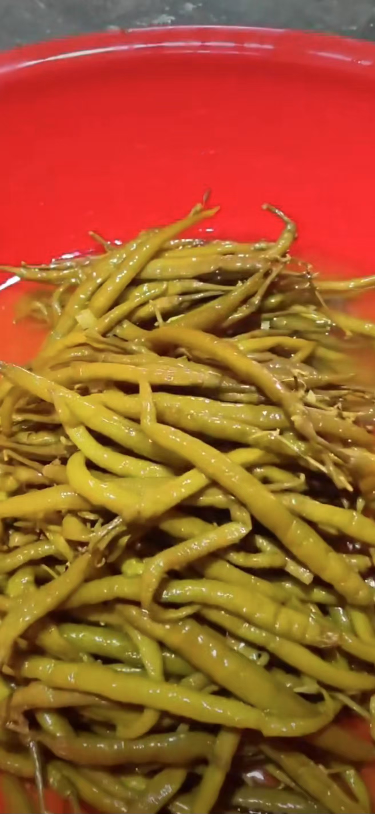 线椒（二荆条）     
