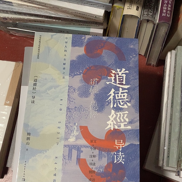 道德经导读鲍鹏山