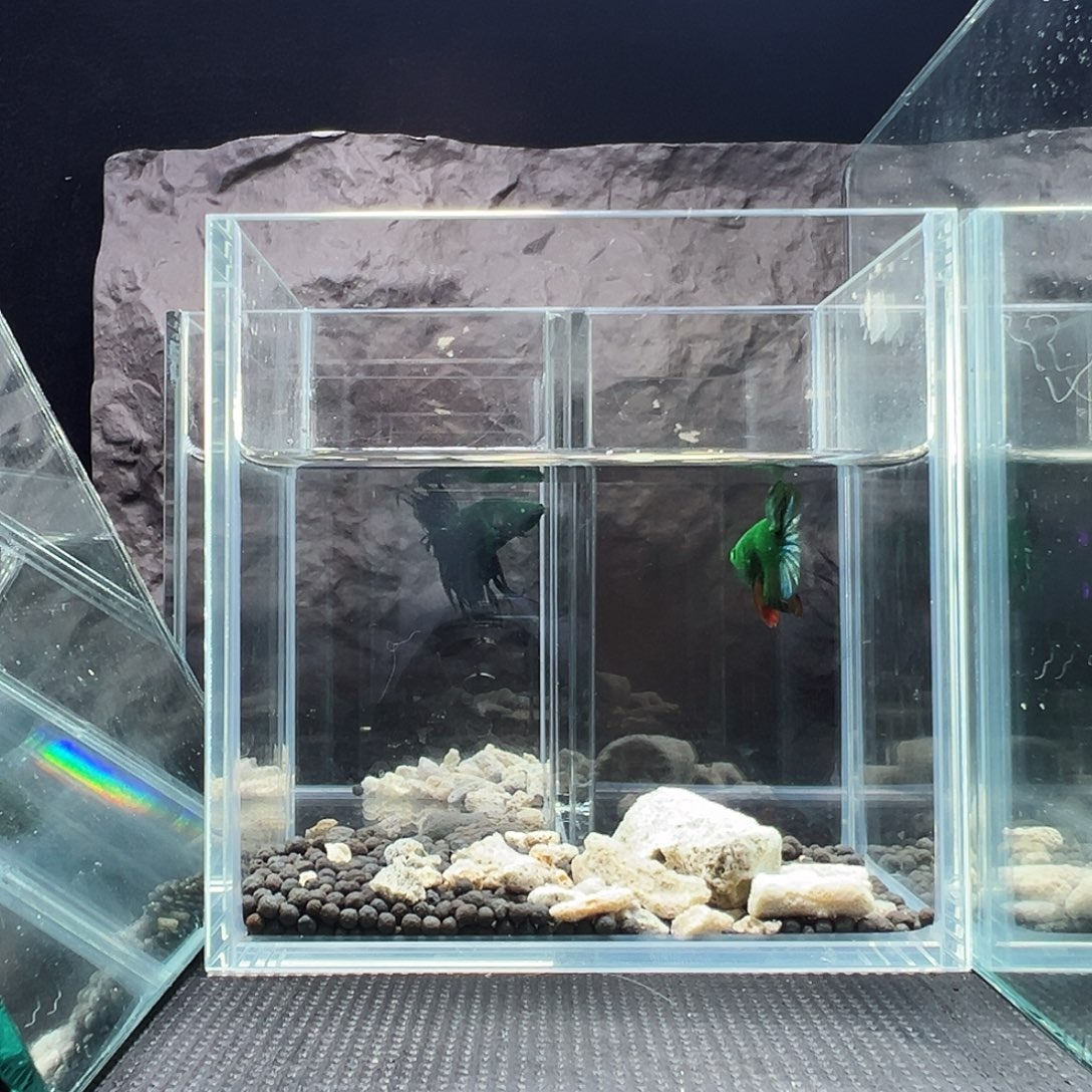 斗鱼精品精品精品精品