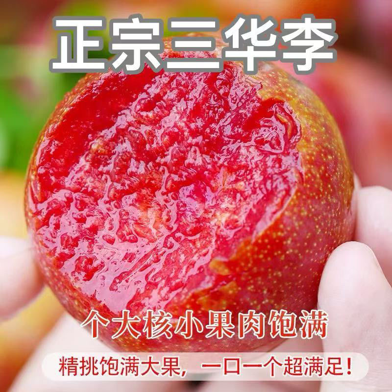【特价】钱排红心三华李新鲜采摘产地果园直发整箱包邮